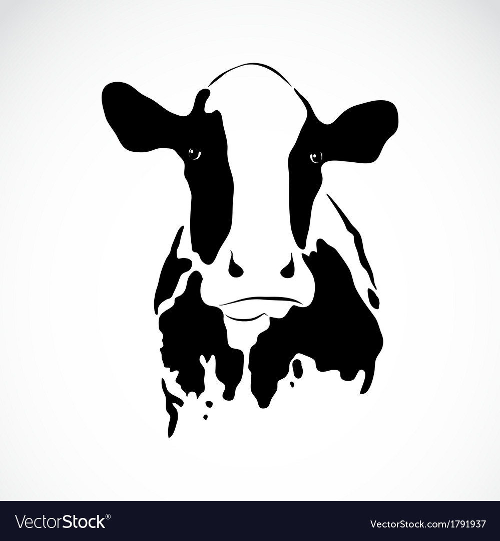 Detail Cow Images Free Nomer 41