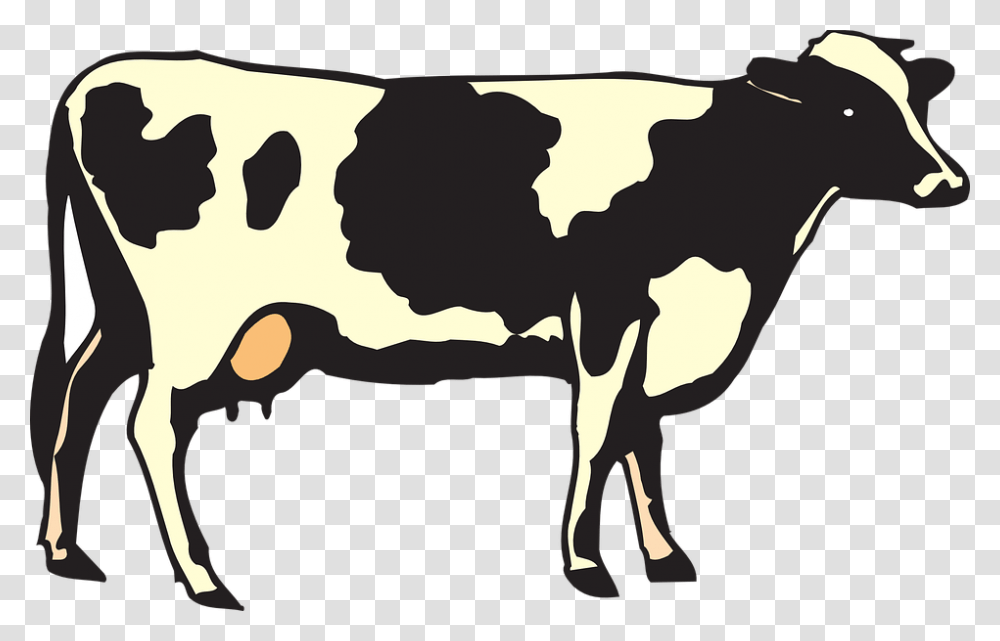 Detail Cow Images Free Download Nomer 33