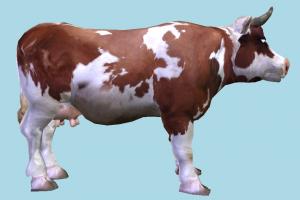 Detail Cow Images Free Download Nomer 49