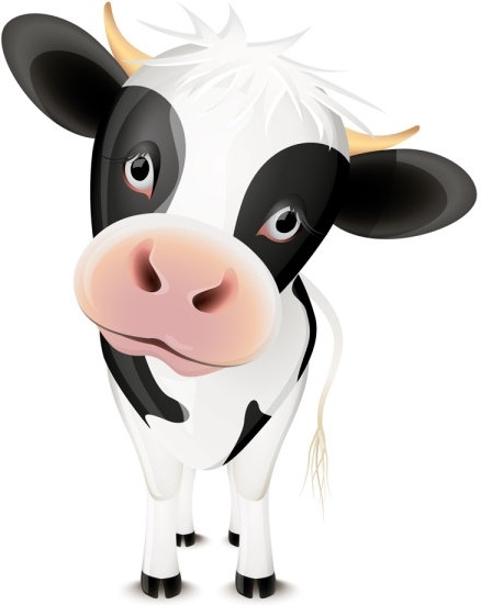 Detail Cow Images Free Download Nomer 51