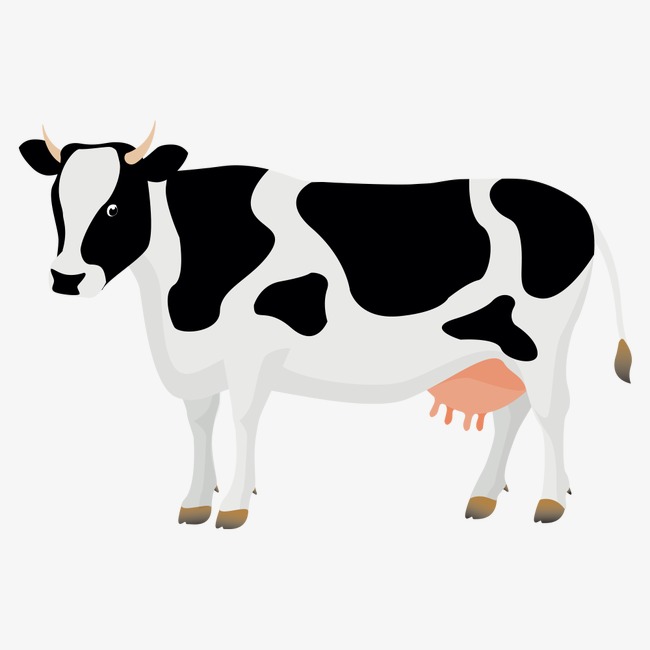 Detail Cow Jpeg Nomer 13