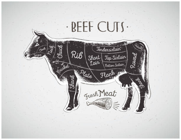 Detail Cow Meat Cuts Image Nomer 53