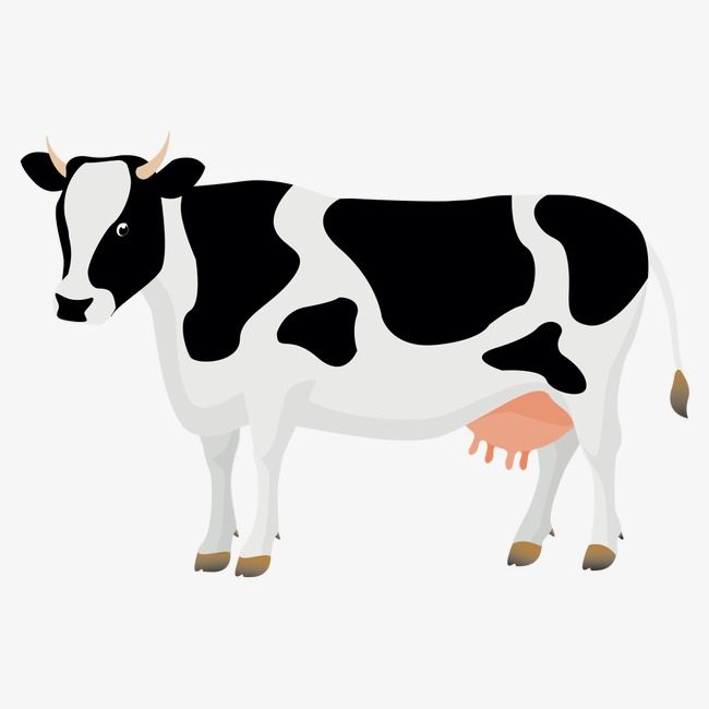 Cow Png Vector - KibrisPDR