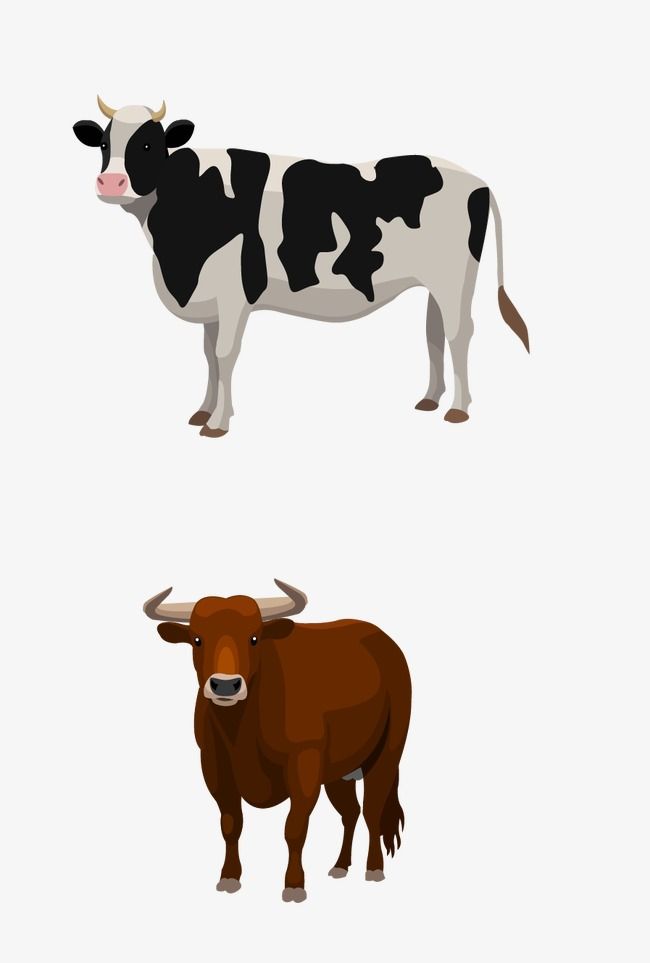 Detail Cow Png Vector Nomer 12