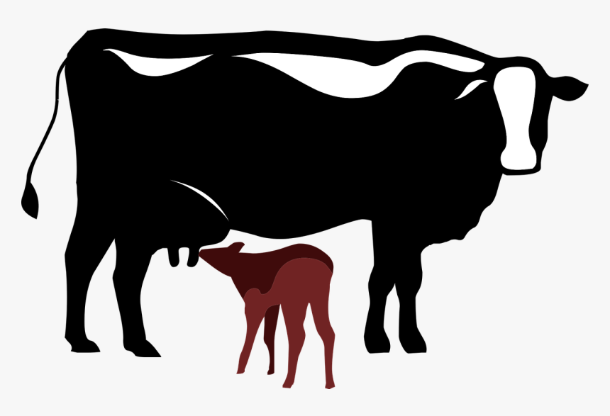 Detail Cow Png Vector Nomer 27