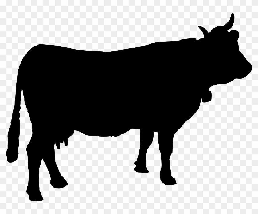 Detail Cow Png Vector Nomer 4