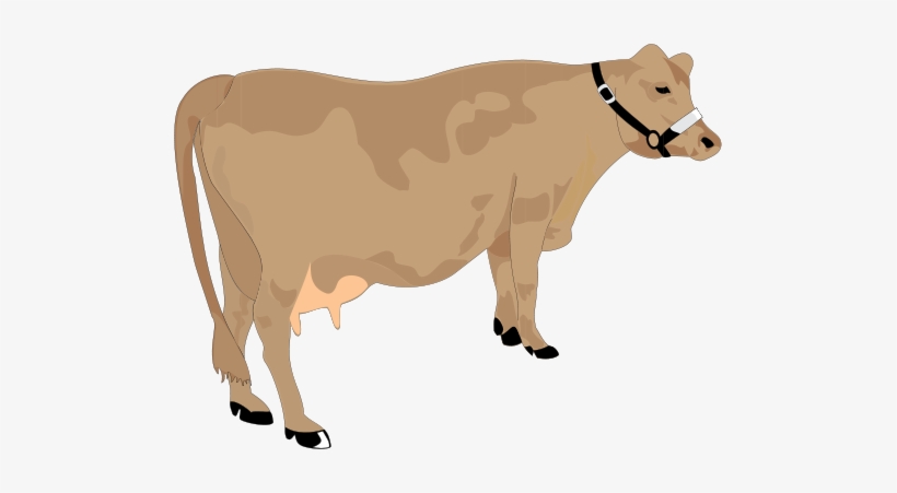 Detail Cow Png Vector Nomer 37