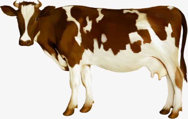 Detail Cow Png Vector Nomer 39