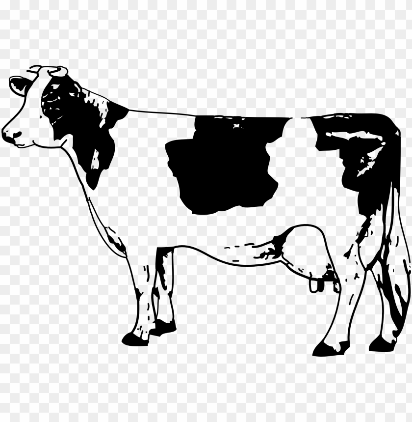 Detail Cow Png Vector Nomer 6