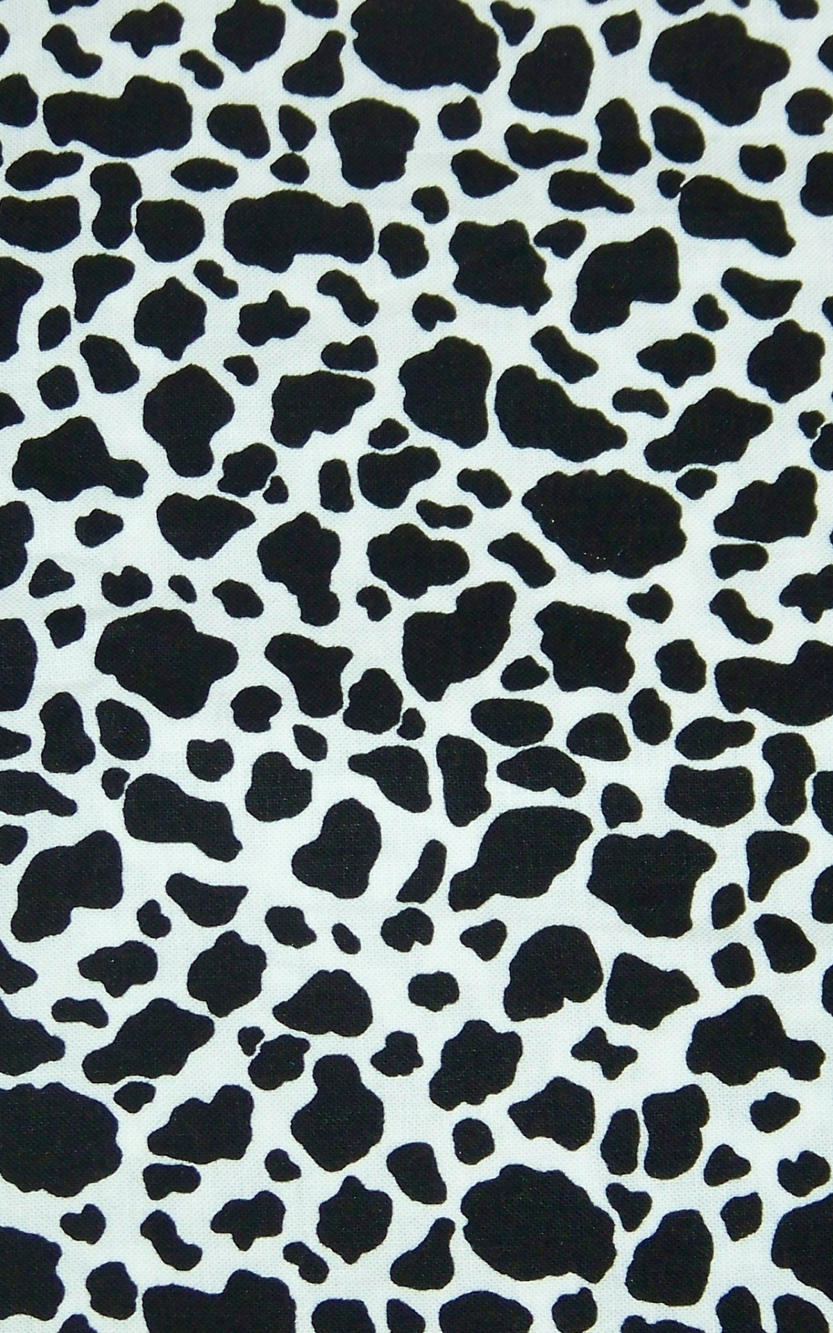 Detail Cow Print Background Iphone Nomer 12