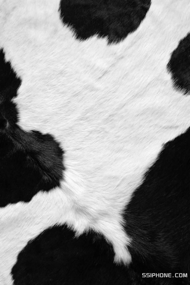 Detail Cow Print Background Iphone Nomer 23