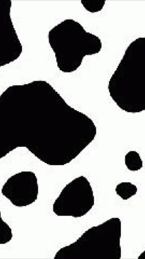 Detail Cow Print Background Iphone Nomer 53