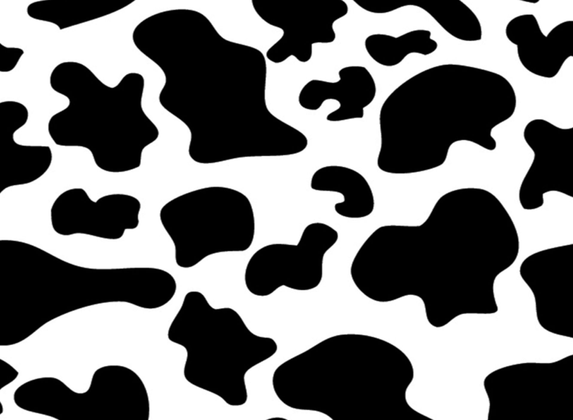 Detail Cow Print Wallpaper Macbook Nomer 2