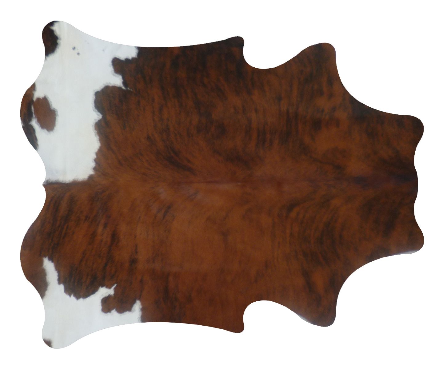 Detail Cow Skin Rug Ebay Nomer 30