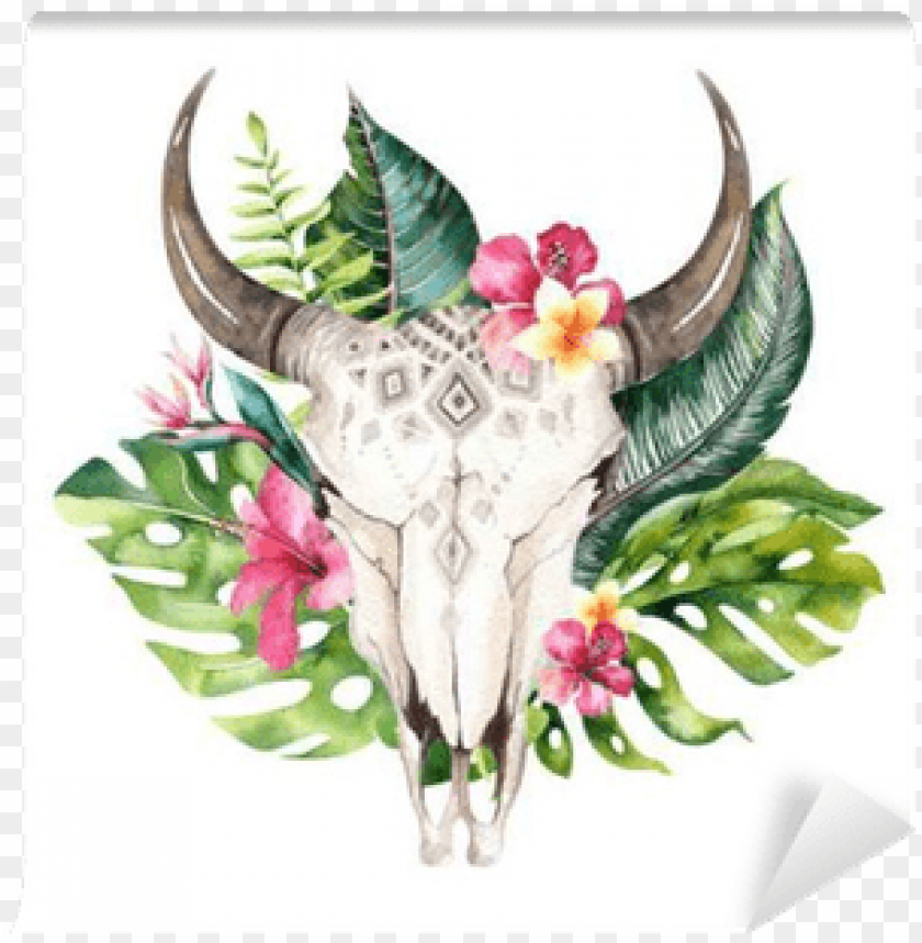 Detail Cow Skull With Flowers Png Nomer 26