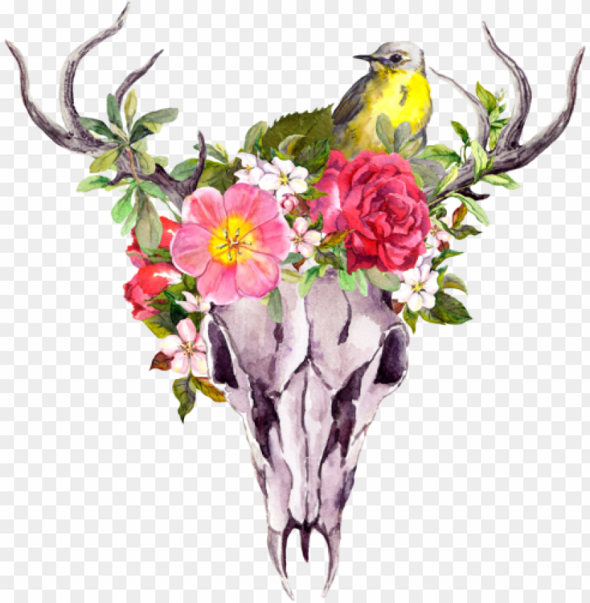 Download Cow Skull With Flowers Png Nomer 33