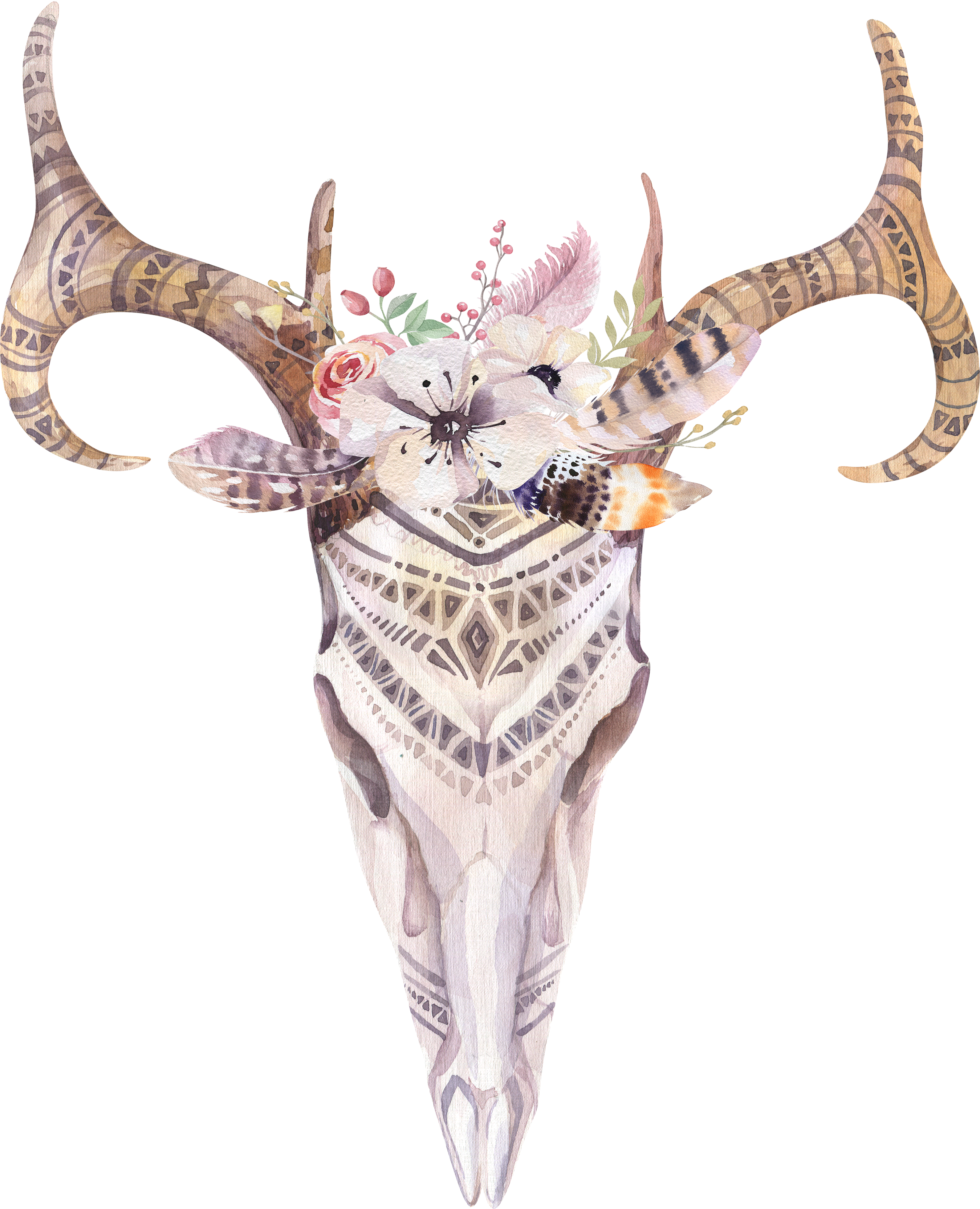 Detail Cow Skull With Flowers Png Nomer 34