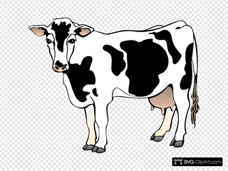 Detail Cow With Bow Clipart Nomer 50