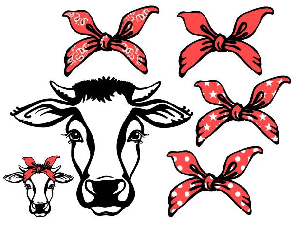 Detail Cow With Bow Clipart Nomer 10