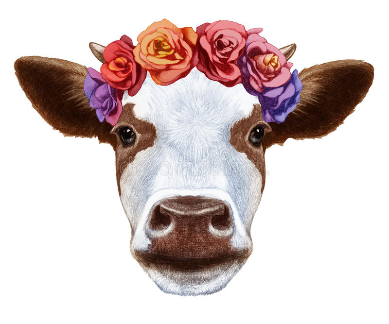 Detail Cow With Flower Clipart Nomer 15