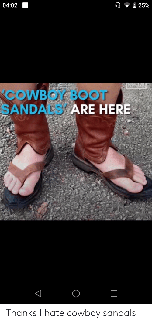 Detail Cowboy Boot Sandals Meme Nomer 47