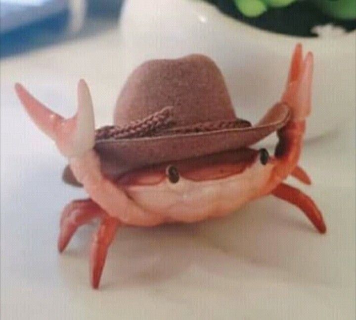 Detail Cowboy Crab Meme Nomer 26