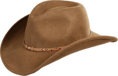 Detail Cowboy Hat Clear Background Nomer 4