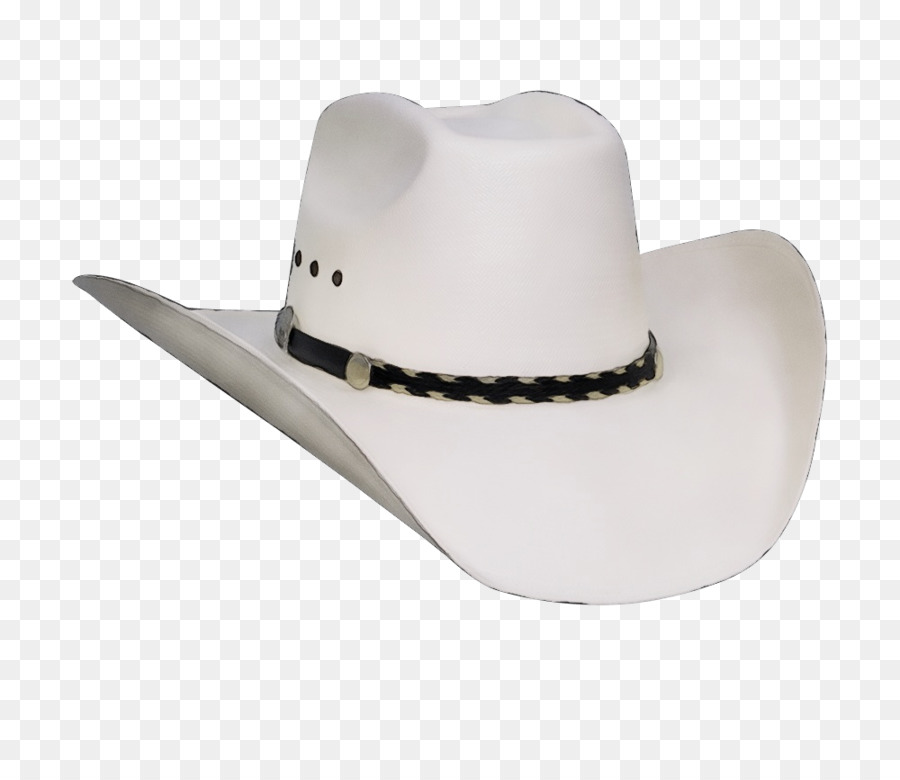 Detail Cowboy Hat Transparent Nomer 28