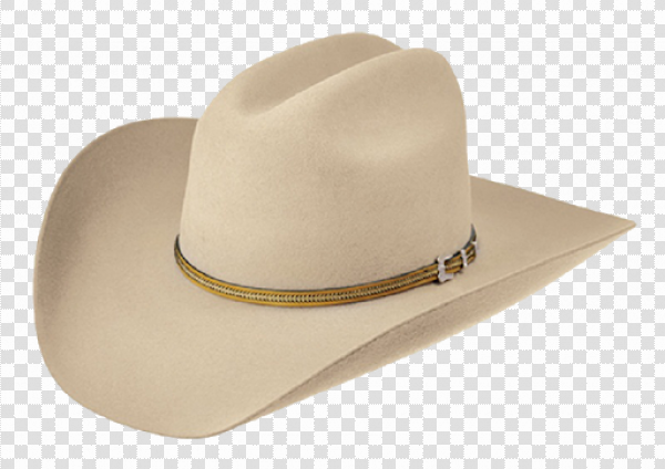 Detail Cowboy Hat Transparent Nomer 7