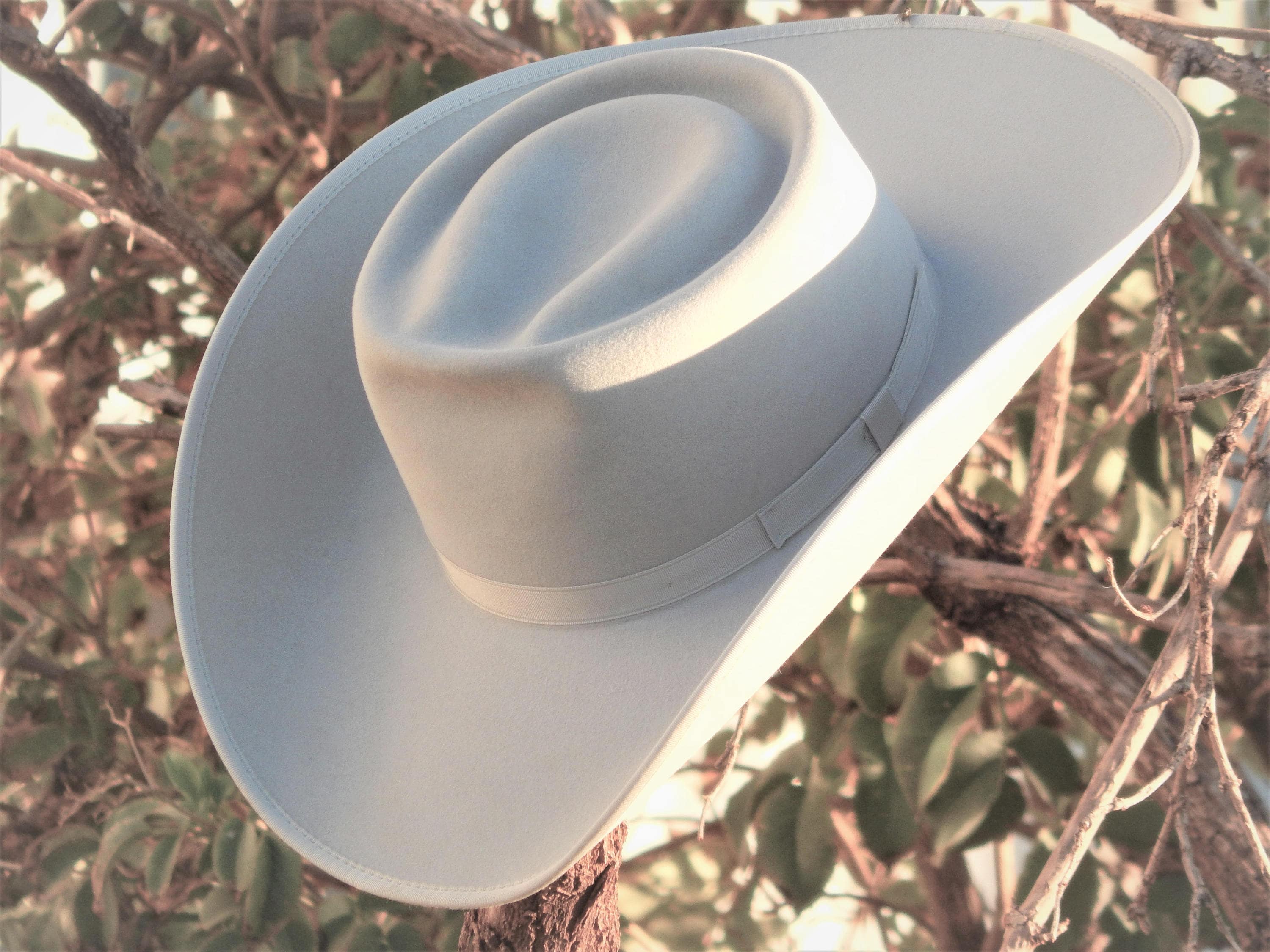 Detail Cowboy Hats With Horseshoe Logo Nomer 6