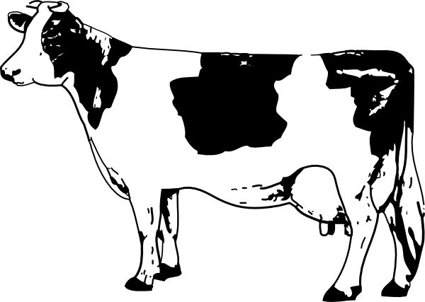 Detail Cows Clipart Nomer 34