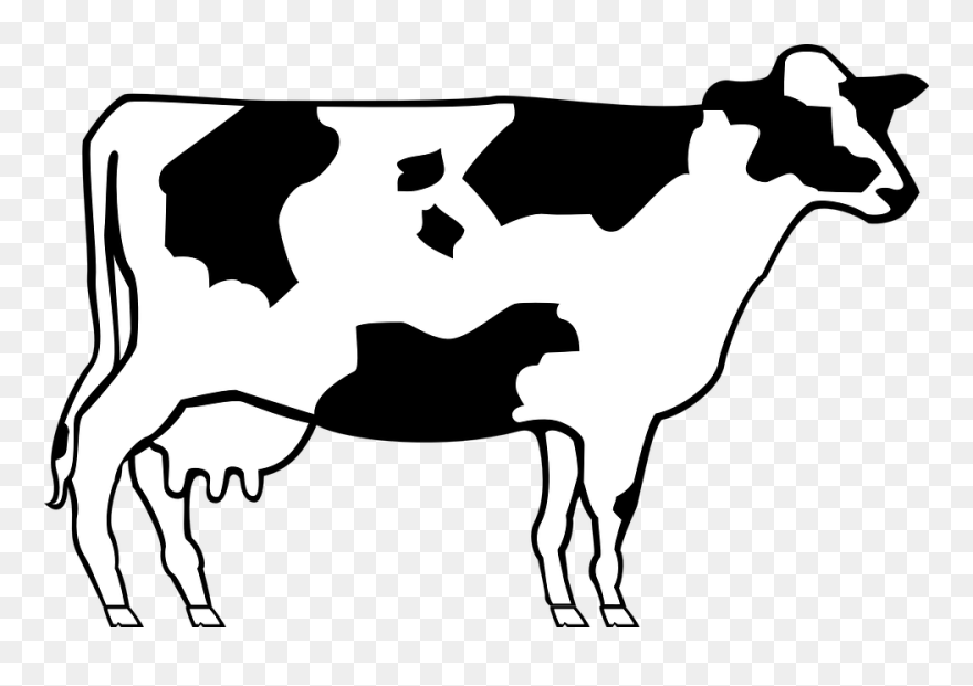 Detail Cows Clipart Nomer 55