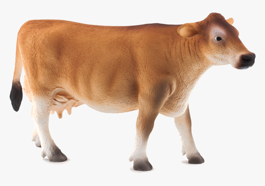 Detail Cows Png Nomer 32