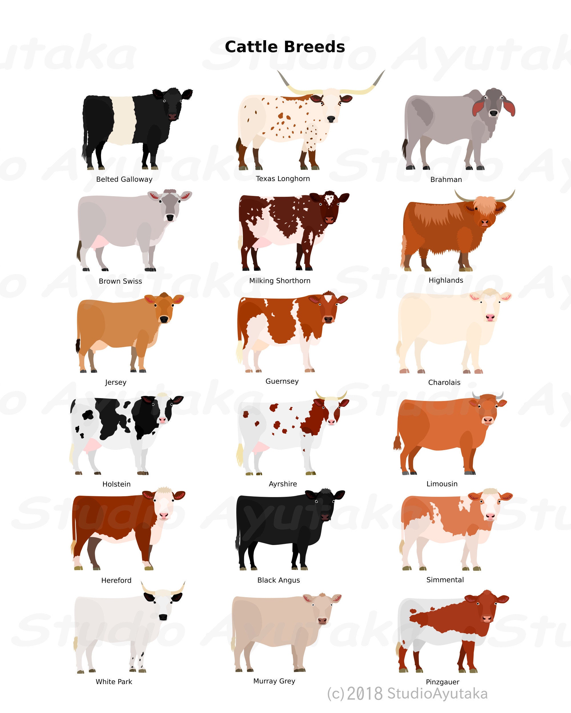 Detail Cows Png Nomer 36