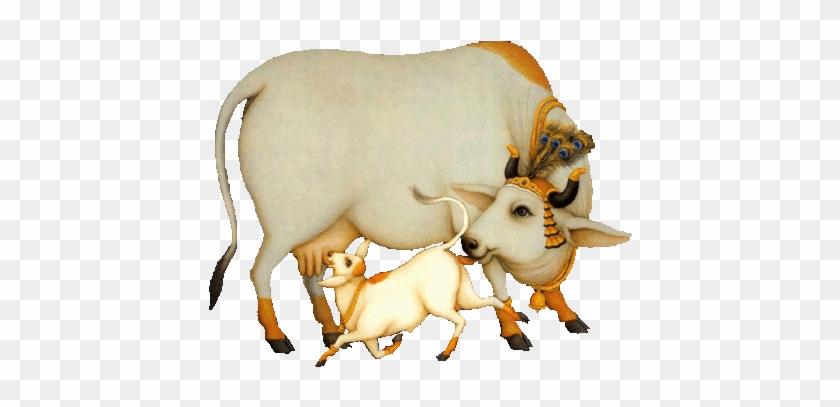 Detail Cows Png Nomer 40