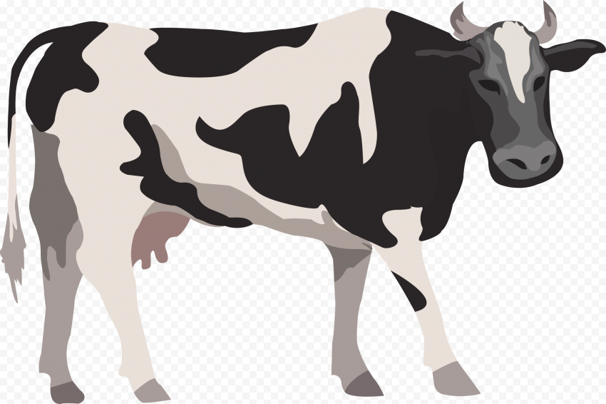 Detail Cows Png Nomer 44