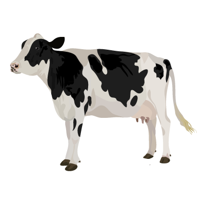Detail Cows Png Nomer 52