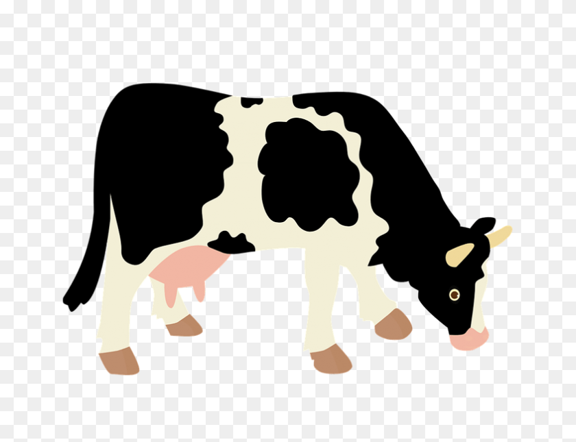 Detail Cows Transparent Nomer 26