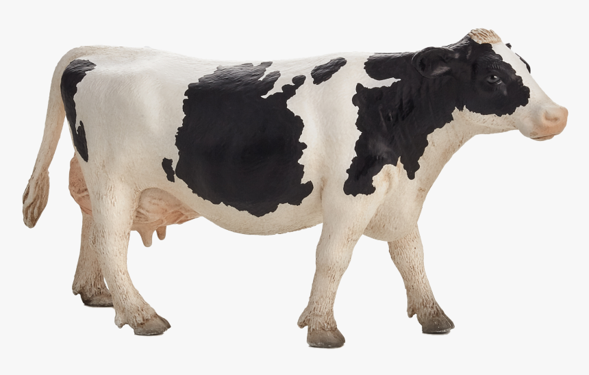 Detail Cows Transparent Nomer 32