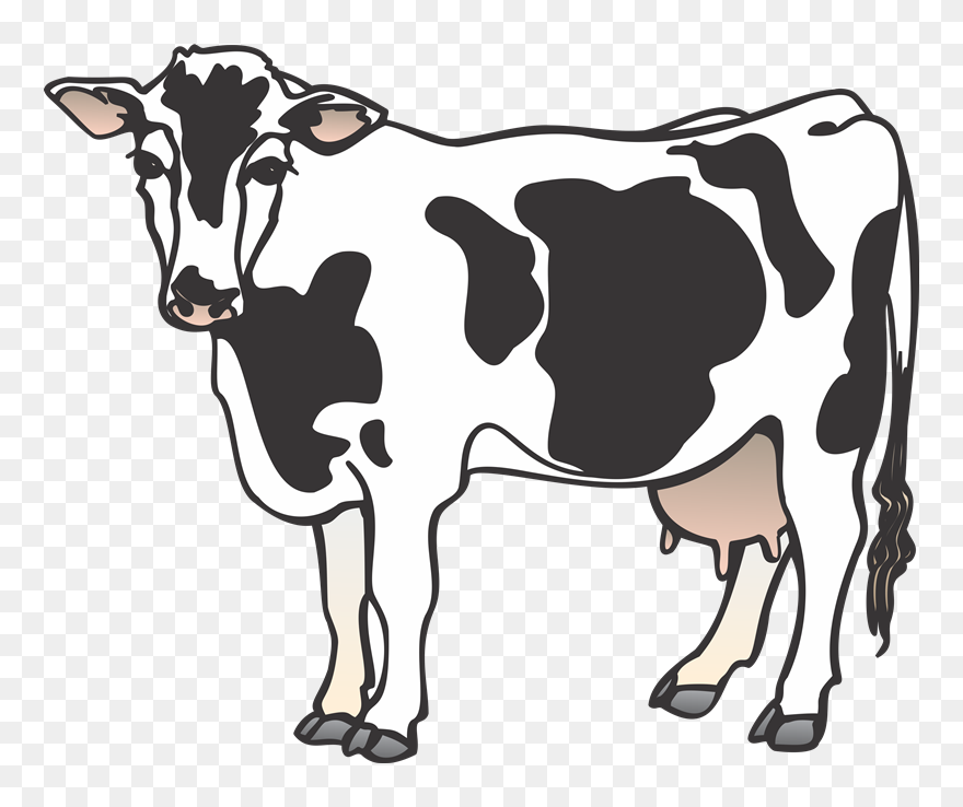 Detail Cows Transparent Nomer 49