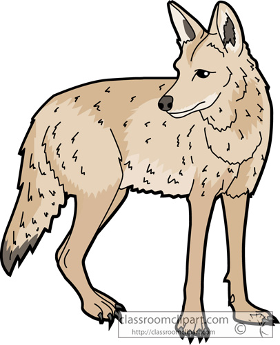 Detail Coyote Clipart Nomer 15