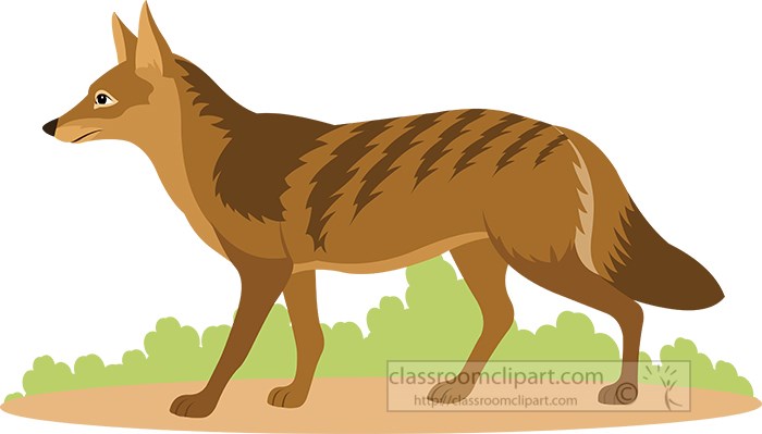 Detail Coyote Clipart Nomer 19