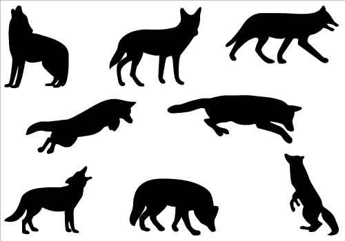 Detail Coyote Clipart Nomer 45