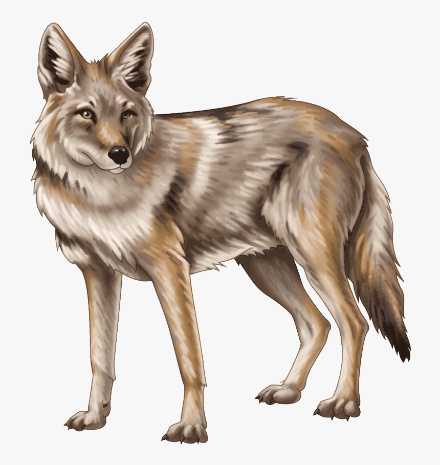 Detail Coyote Clipart Nomer 7