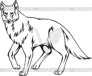 Detail Coyote Clipart Black And White Nomer 12