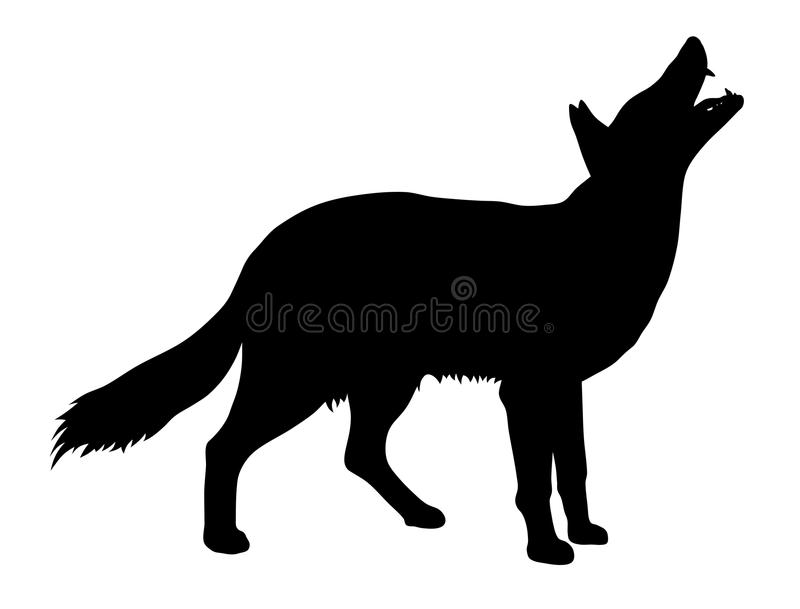 Detail Coyote Clipart Black And White Nomer 45