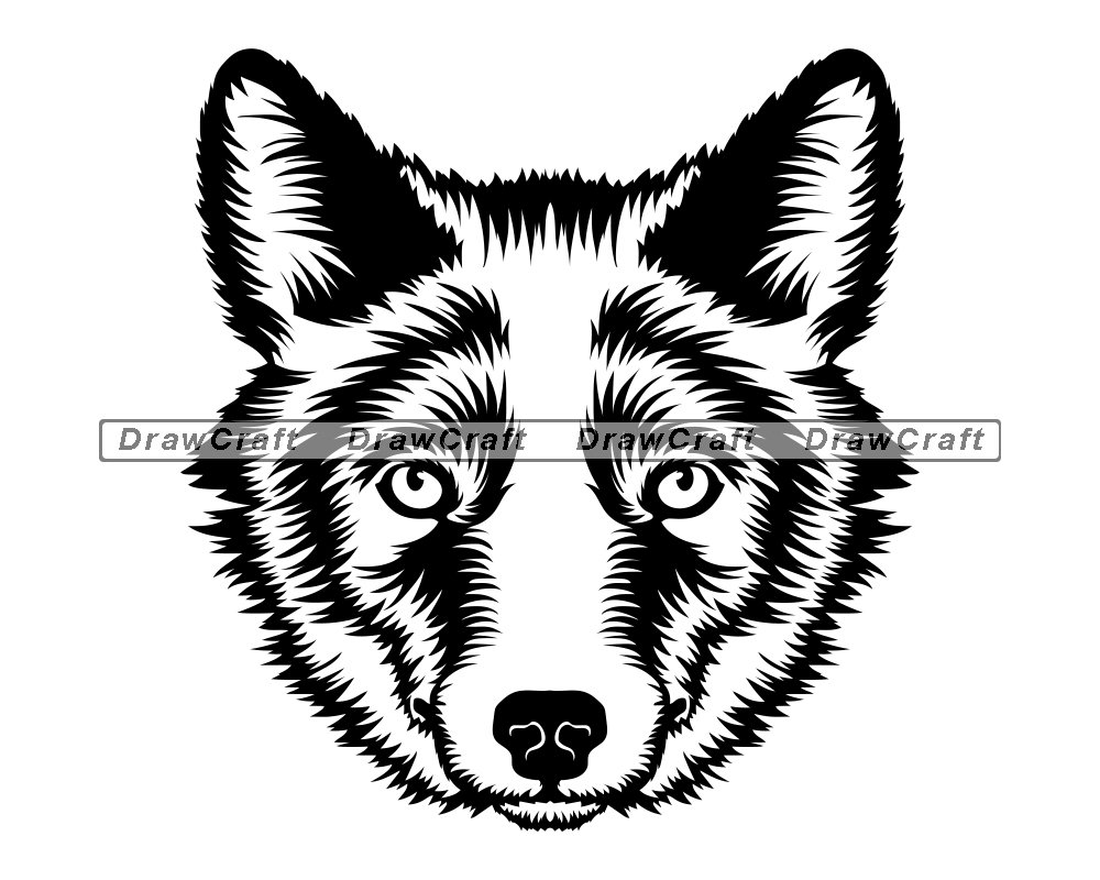 Detail Coyote Face Clipart Nomer 12