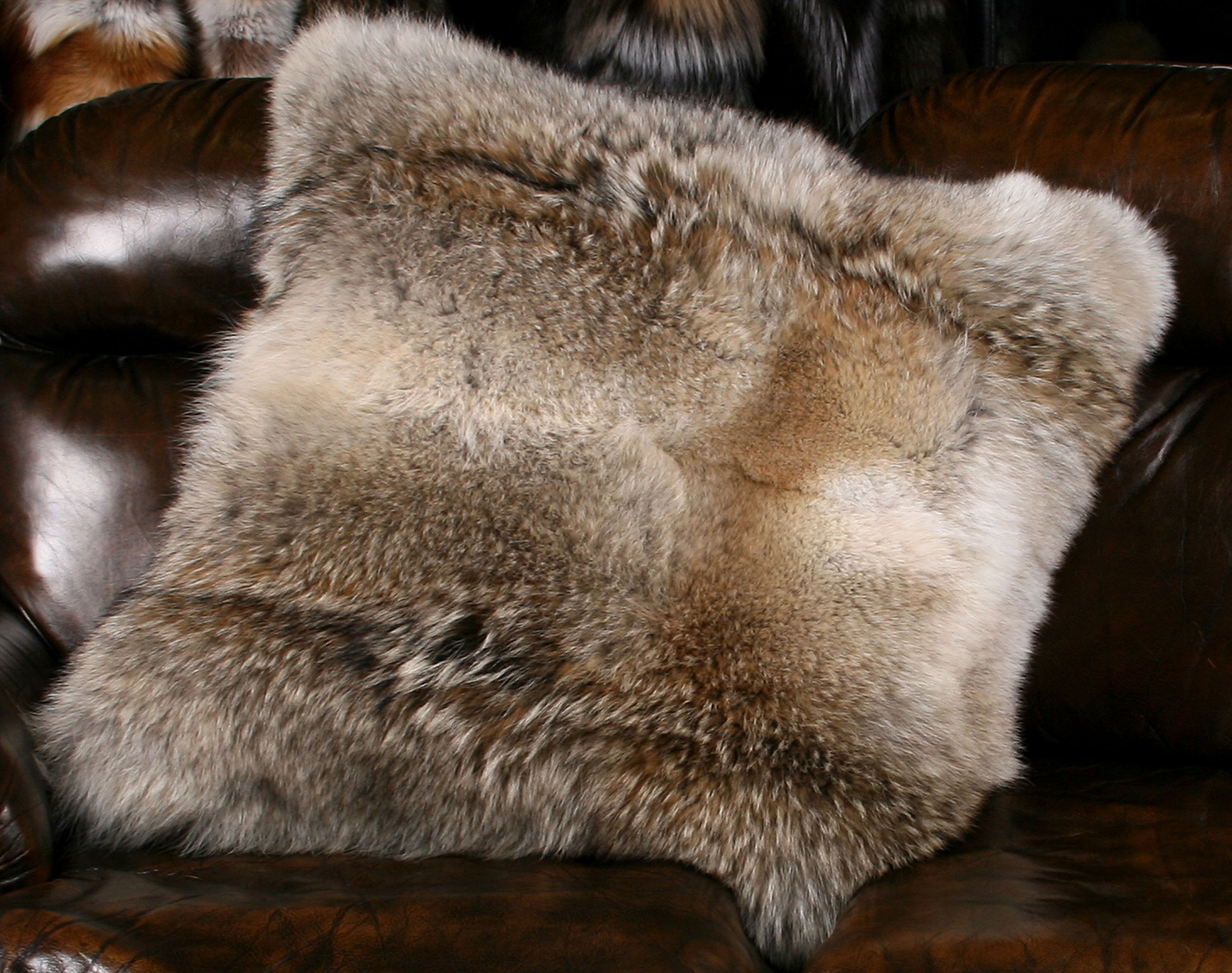 Detail Coyote Fur Pillow Nomer 22