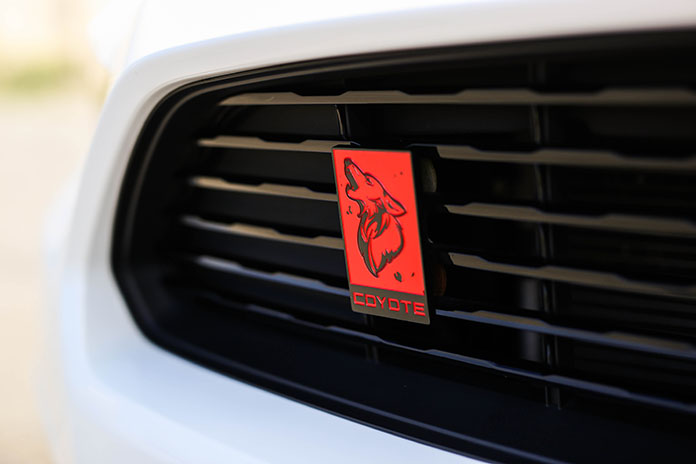 Detail Coyote Grill Badge Nomer 14