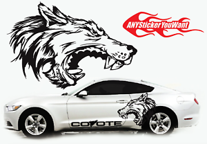 Detail Coyote Mustang Stickers Nomer 6